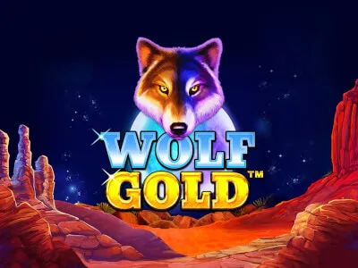 Wolf Gold — real money pokie at Rolling Slots Casino NZ
